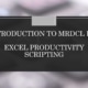 Excely prodcutivity scripting MRDCL